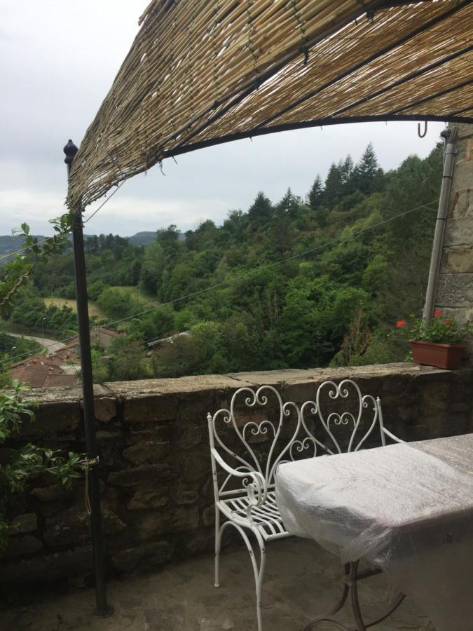 Castello Di Urbech Apartment Pratovecchio Luaran gambar
