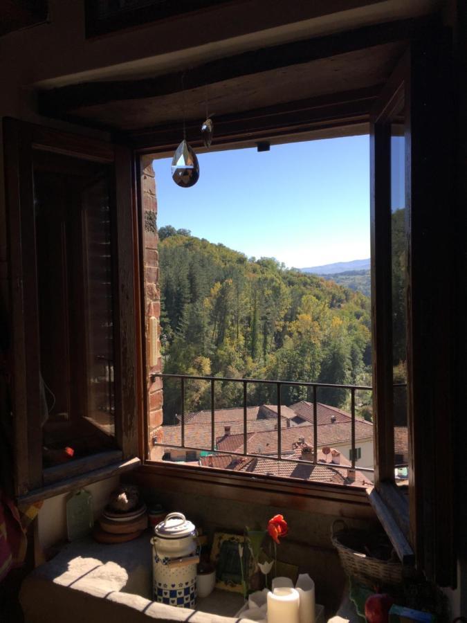 Castello Di Urbech Apartment Pratovecchio Luaran gambar