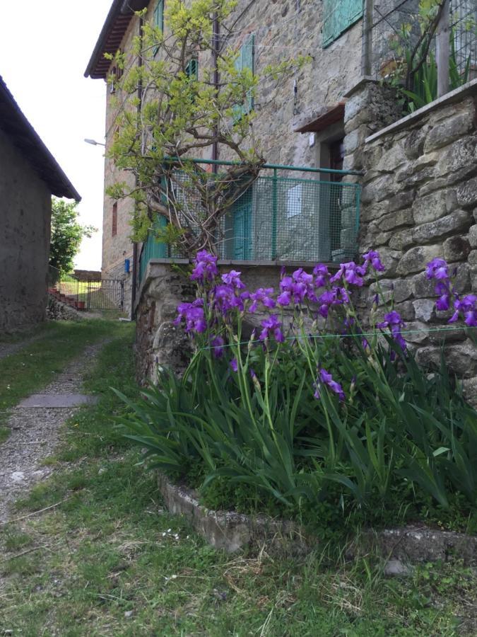 Castello Di Urbech Apartment Pratovecchio Luaran gambar