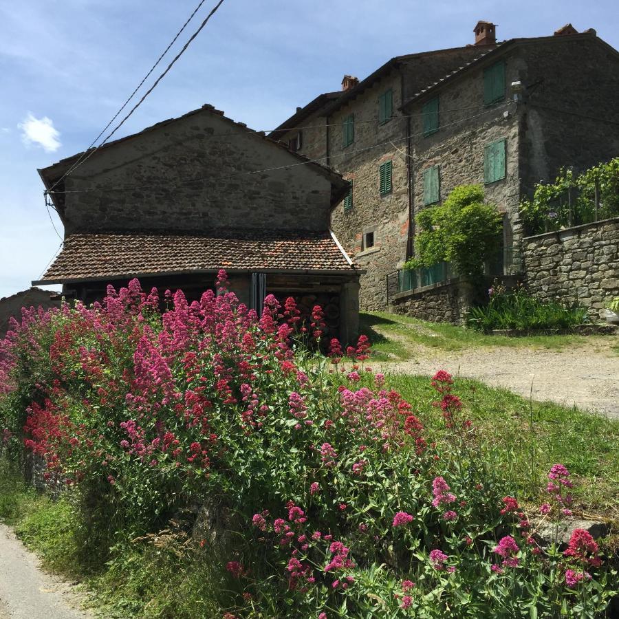 Castello Di Urbech Apartment Pratovecchio Luaran gambar
