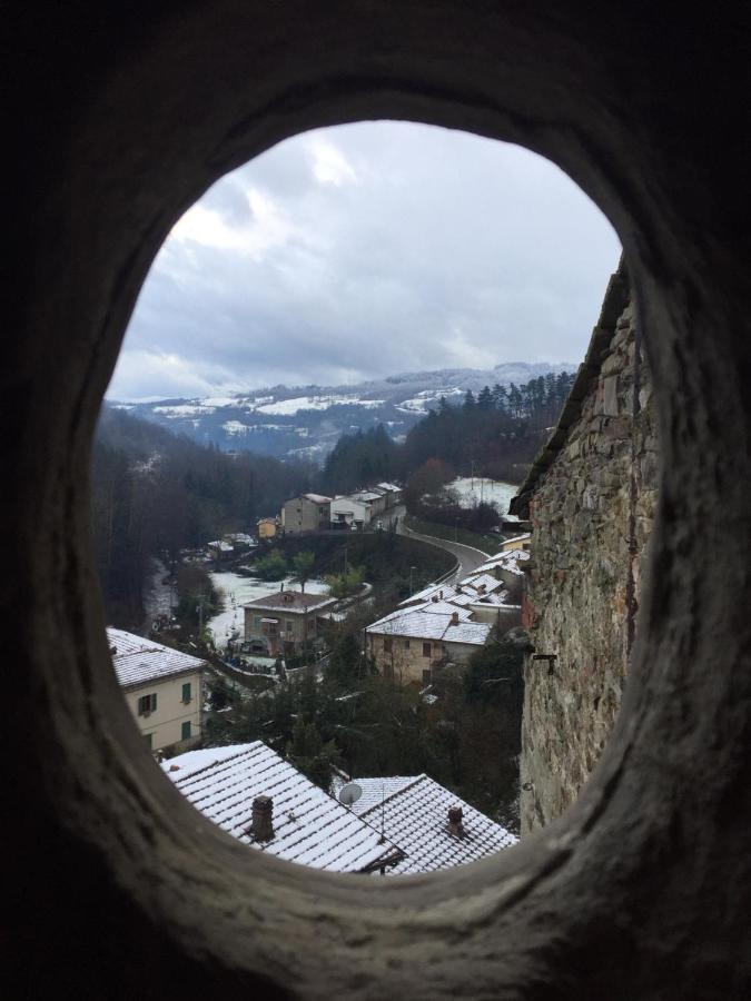 Castello Di Urbech Apartment Pratovecchio Luaran gambar