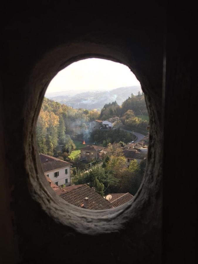 Castello Di Urbech Apartment Pratovecchio Luaran gambar